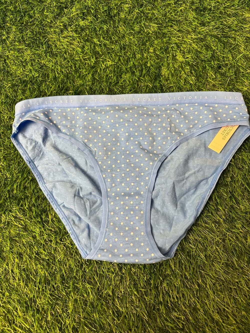 Victoria's Secret Blue Polka Dot Cotton Bikini Panty